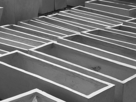 Flower potの写真素材