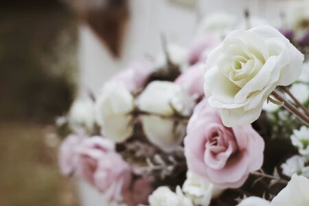Vintage rosesの写真素材