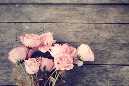 Vintage rosesの写真素材