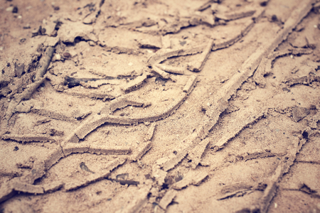 Wheel tracks on the soil.の写真素材