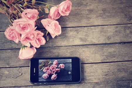 Take photo of rosesの写真素材