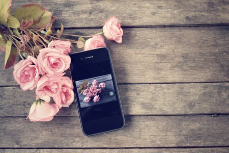 Take photo of rosesの写真素材