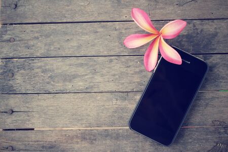 Pink flower with smart phoneの写真素材