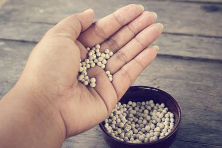 Peppercornsの写真素材