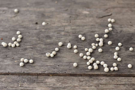 Peppercornsの写真素材