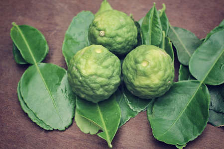 Fresh kaffir and leech limeの写真素材