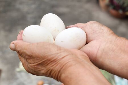 Eggs on the handsの写真素材