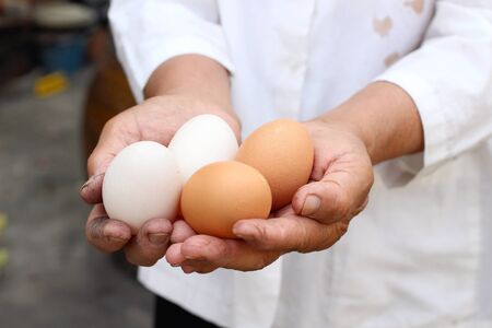 Eggs on the handsの写真素材