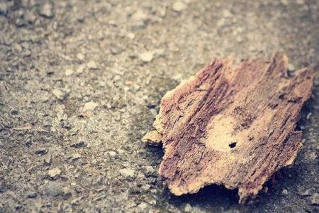 Vintage wood background