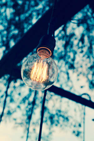 Vintage light bulbの写真素材