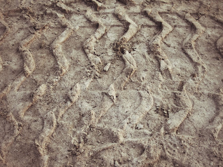 Wheel tracks on the soil.