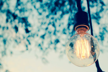Vintage light bulb
