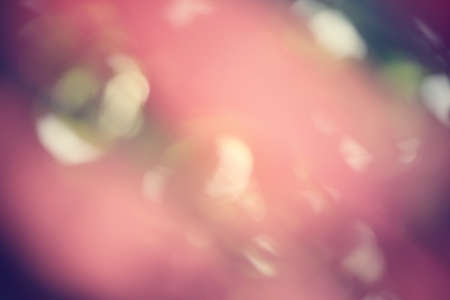 Blurred of leaves with shadowの写真素材