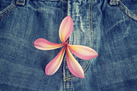 Jeans with frangipani flowerの写真素材