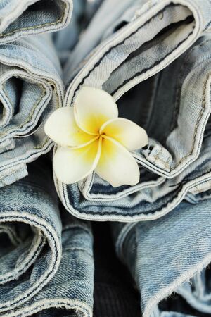 Jeans with frangipani flowerの写真素材