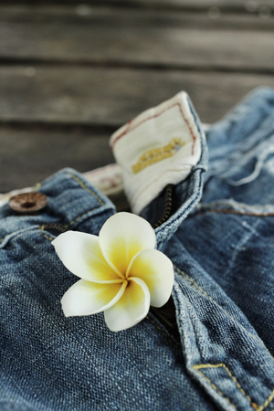 Jeans with frangipani flowerの写真素材