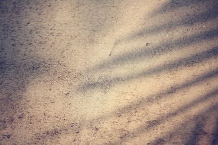 Shadow leavesの写真素材