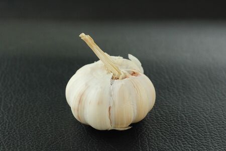 Garlicの写真素材