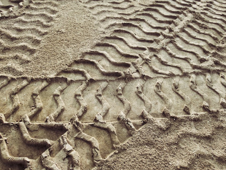 Wheel tracks on the soil.