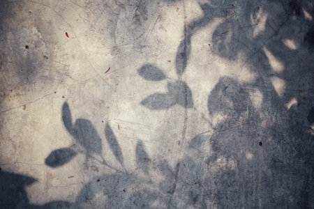 Leaves with shadow