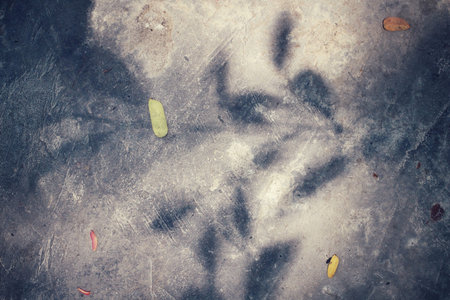 Leaves with shadow