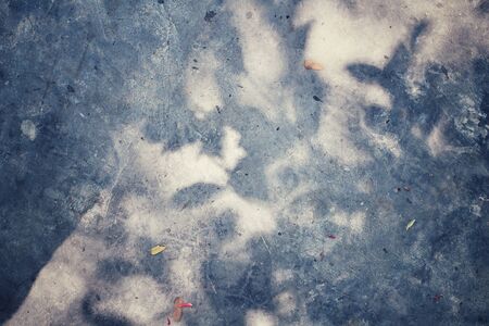 Leaves with shadowの写真素材