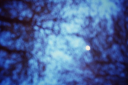 Blurred of tree branchesの写真素材