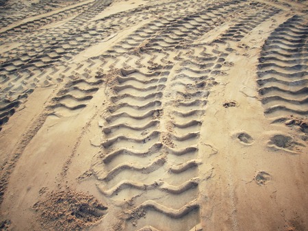 Wheel tracks on the soil.の写真素材