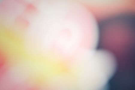 Vintage backgroundの写真素材