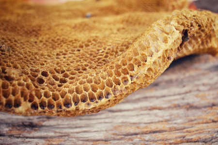 Honeycombの写真素材