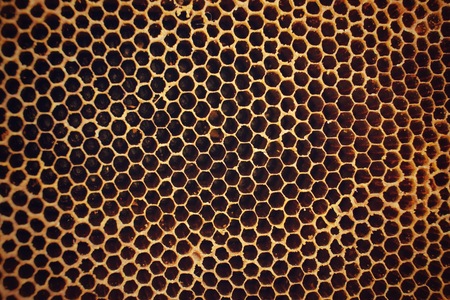 Honeycombの写真素材