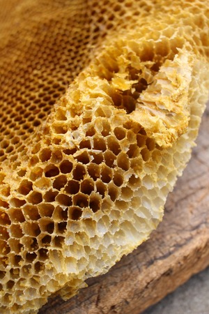 Honeycombの写真素材