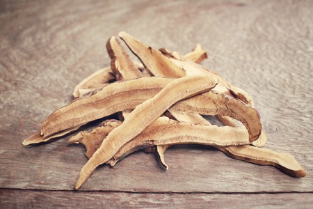 Ganoderma Lucidum - Ling Zhi Mushroom.の写真素材