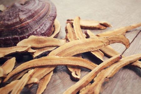 Ganoderma Lucidum - Ling Zhi Mushroom.の写真素材