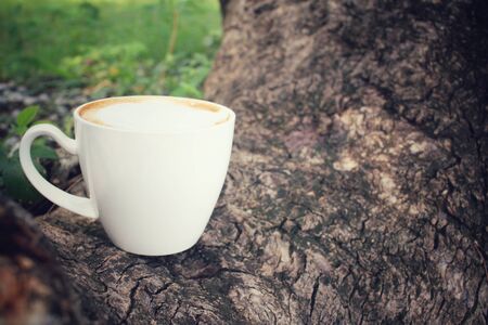 Latte coffeeの写真素材