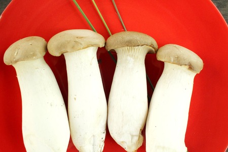 King oyster mushroom -  Eryngii mushroomの写真素材