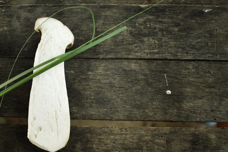 King oyster mushroom -  Eryngii mushroomの写真素材