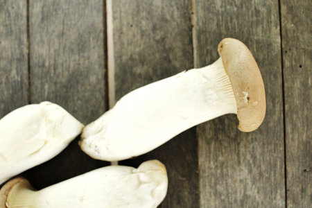 King oyster mushroom -  Eryngii mushroomの写真素材