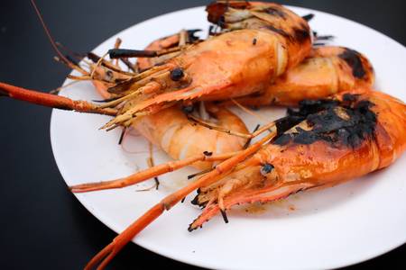 Grilled shrimpの写真素材