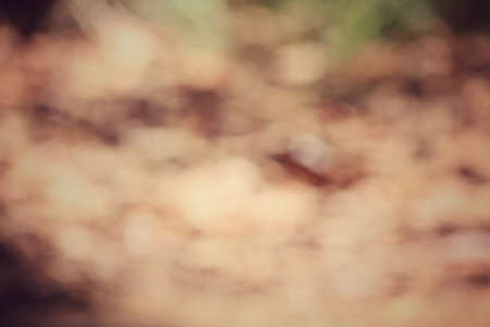 Vintage brown backgroundの写真素材