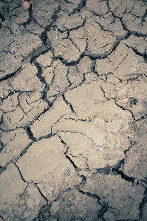 Cracked dry soil