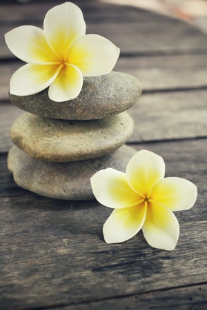 Frangipani with spa stonesの写真素材