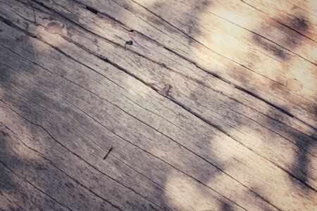 Leaves with shadowの写真素材