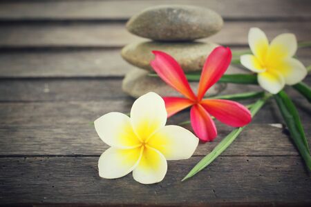 Frangipani with spa stonesの写真素材