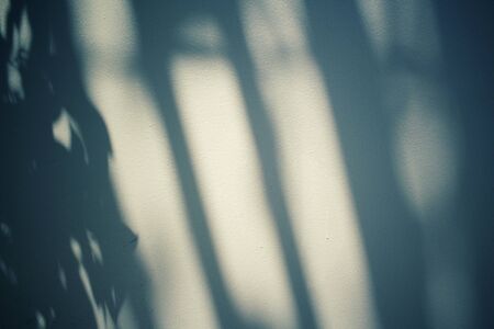 Shadow on wallの写真素材