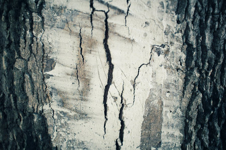 Vintage wood backgroundの写真素材