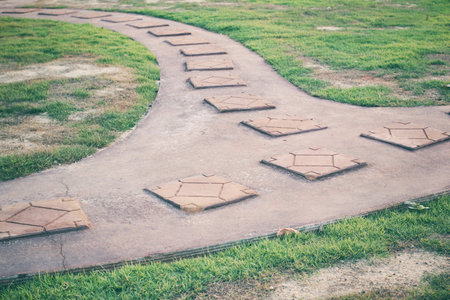 way in the park.の写真素材