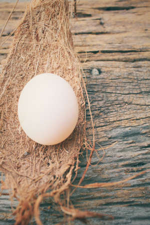 White eggsの写真素材