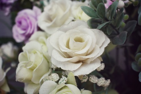 Vintage rosesの写真素材