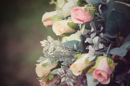 Vintage rosesの写真素材